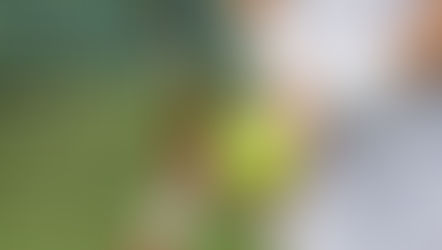 Learn to Play Tennis!