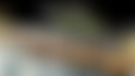 Whiskey & Beer Tasting