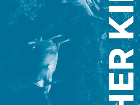 Review: Her Kind - Sophie Lefens