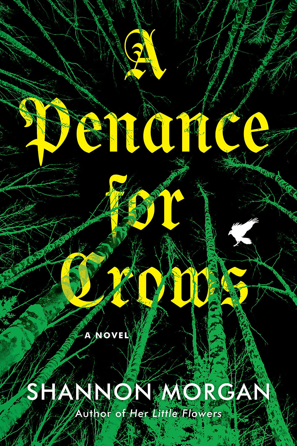 Review: A Penance for Crows - Shannon Morgan