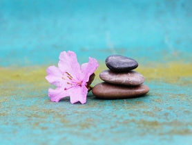 Equilibrio: la Saggezza necessaria - nella relazione genitori/figli e istituzioni/popolo -