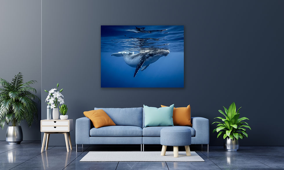 Thumbnail: Whale Hello there