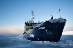 Screenshot_20260404_151428_Chrome