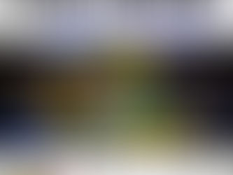 NSNB Debut @ Breakaway, Danvers, MA