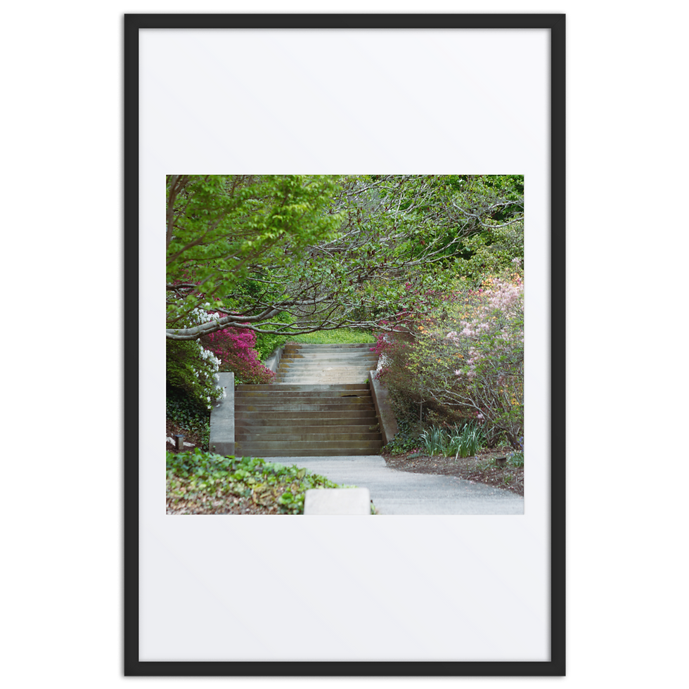 Thumbnail: The Stairway