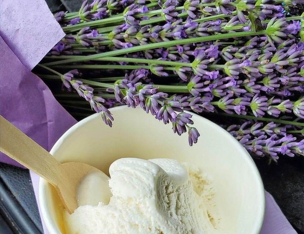 HOME Lavender Fields at Pumpkin Blossom Farm, Warner, NH