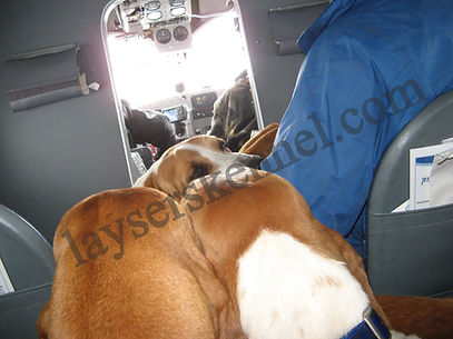 Coastal Response (5)_edited.jpg