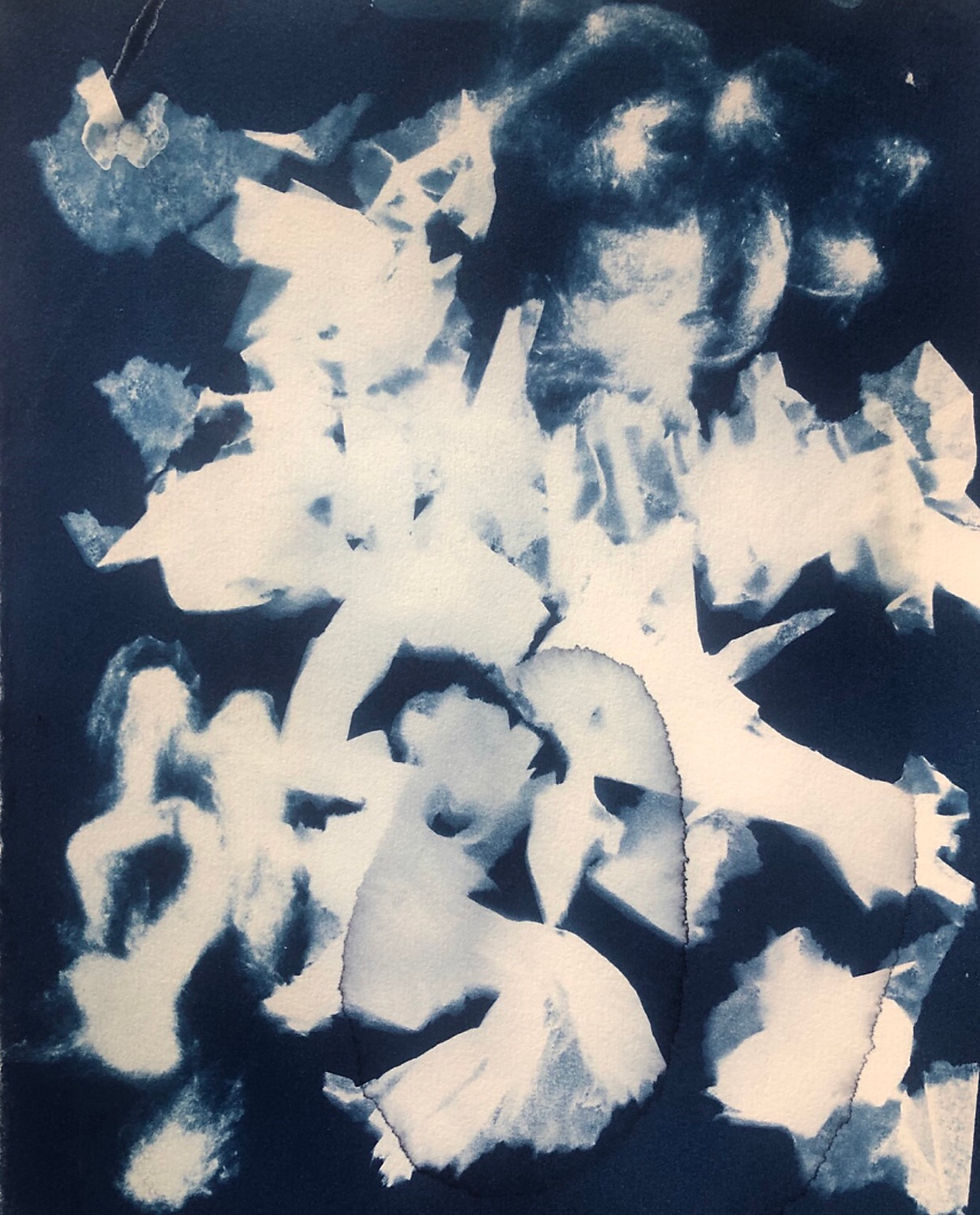Thumbnail: “Job 26 : 8-14” Cyanotype Print Set