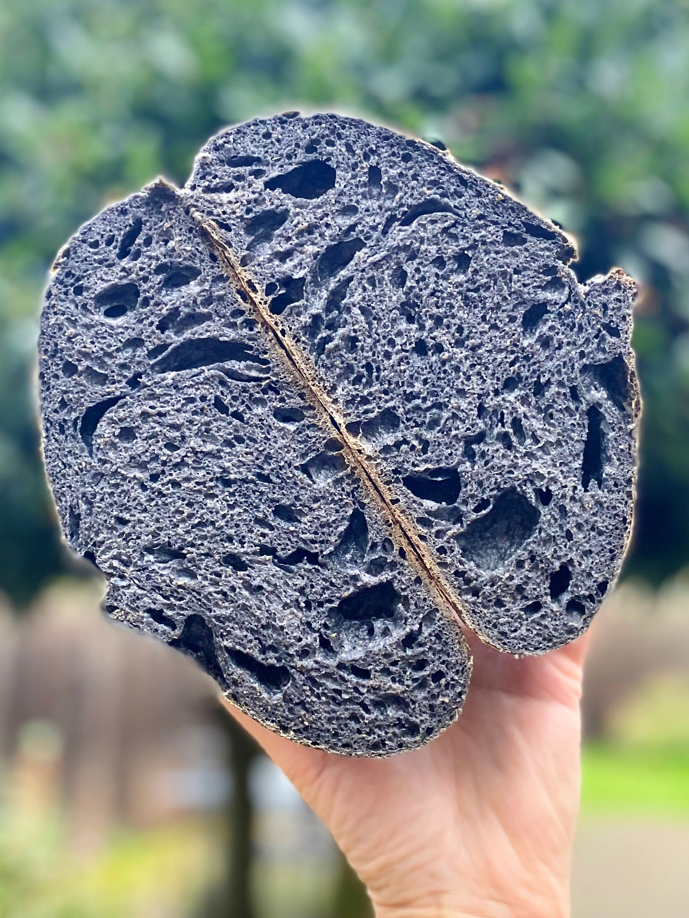 Detox Charcoal Loaf