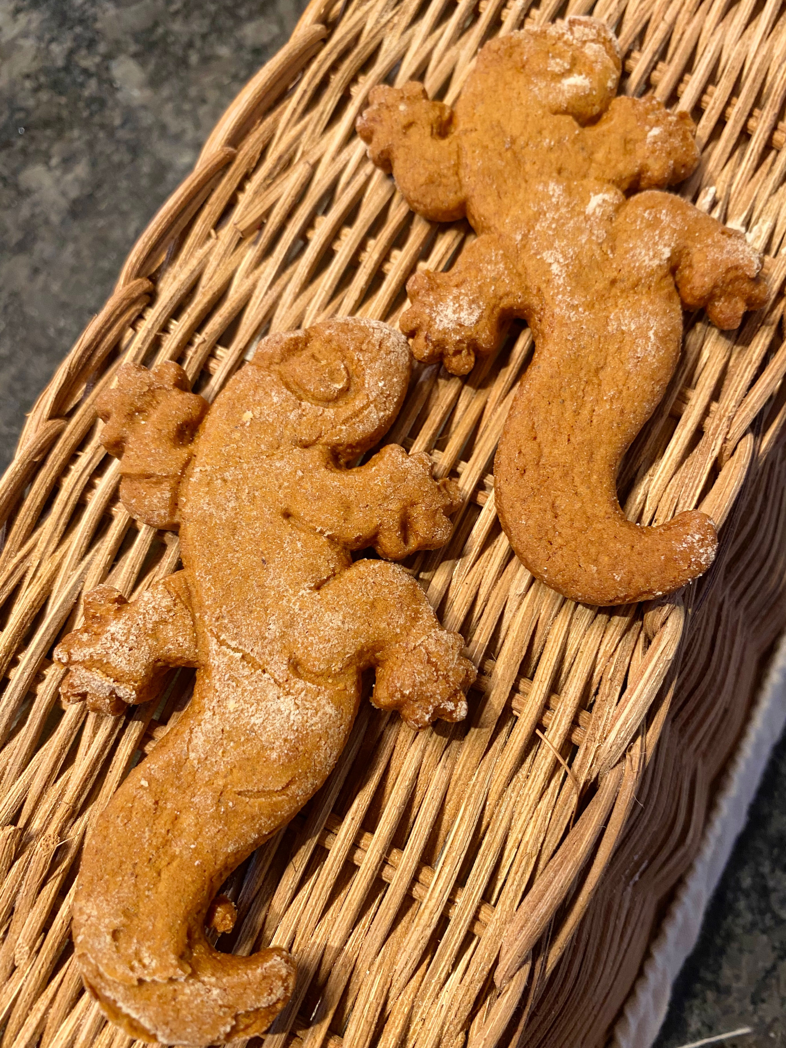 Ginger Newts (as in Harry Potter)