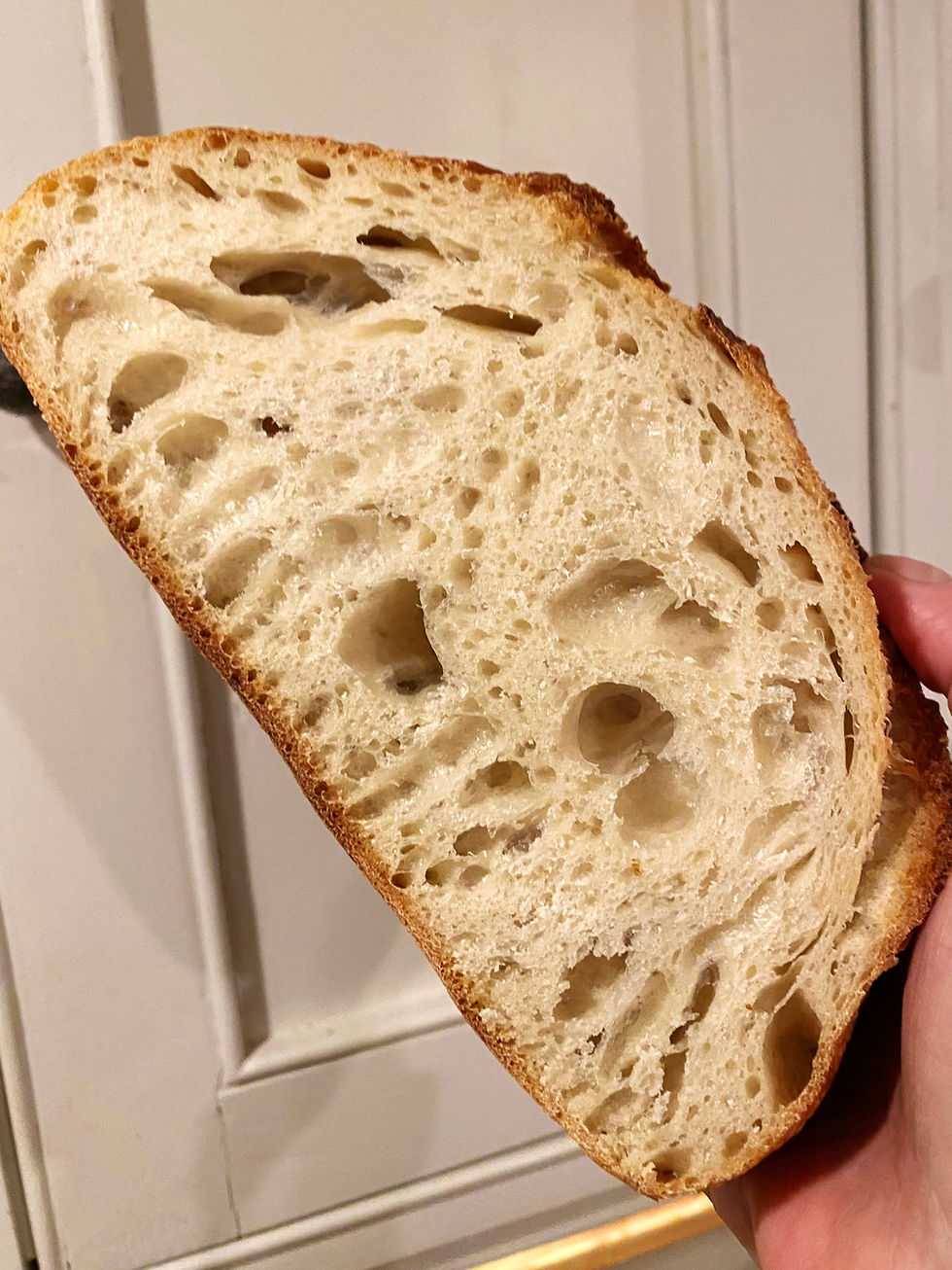 Thumbnail: The Navigator - Classic White