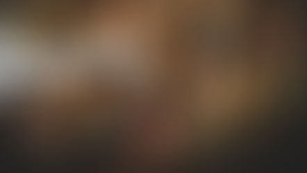 Conheça as diferenças entre os tipos de rolhas