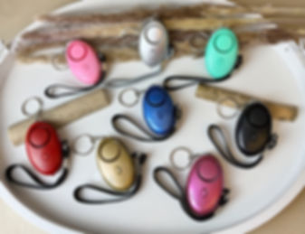 Persönlicher Alarm / LED Taschenlampe