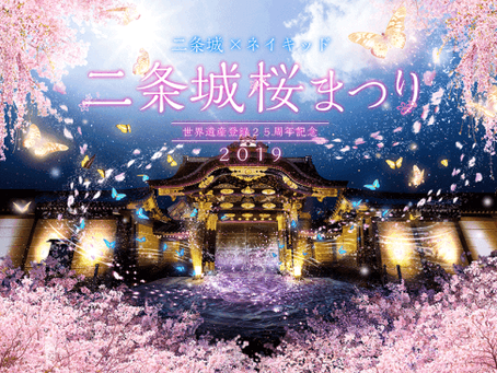 화려한 벚꽃과 함께하는! 니조성 마츠리(二条城まつり)