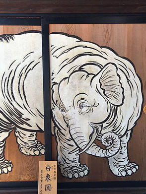 【교토기모노 유메야카타】쇼코쿠지의 흰코끼리 스기토에(杉戸絵)