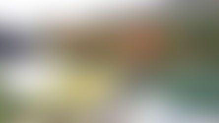 텐류지(天龍寺)의 소겐치(曹源池)정원의 단풍