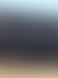 히가시혼간지(東本願寺)의 스스하라이(煤払い)