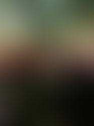 「쿄 노 타나바타(京の七夕)」 키타노타나바타마츠리(北野七夕祭)개최! 오도이(御土居)의 라이트업!