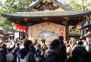 올해는 역시 이 곳! 고오우 신사(護王神社)