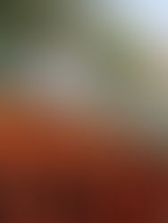 헤이안신궁(平安神宮) 근처의 헤이안사료(平安茶寮)의 녹차 소프트아이스크림♥