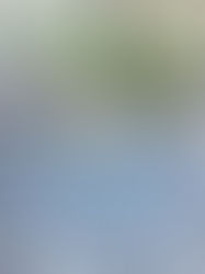 【교토 기모노 유메야카타】롯카쿠도(六角堂)의 배꼽돌(へそ石)