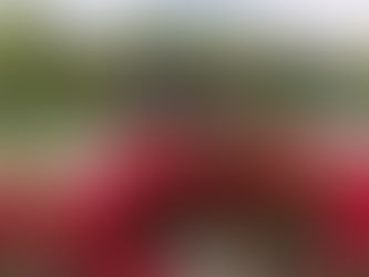 나가오카 텐만구(長岡天満宮)의 키리시마 철쭉
