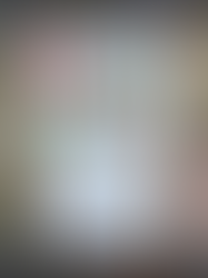 레볼루션 북스(レボリューションブックス)