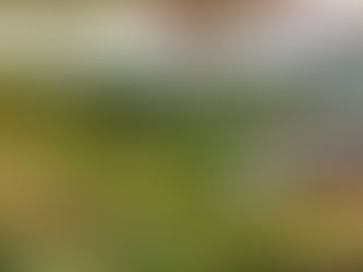 와비(わび)・사비(さび) - 은각사의 단풍