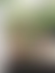 스즈무시데라(鈴虫寺)의 행복 지장보살