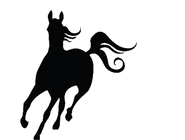 cavalo empinando