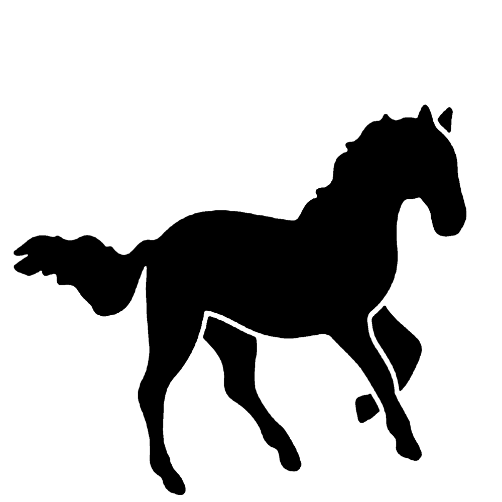 cavalo empinando