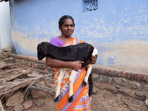 Training and Work: Interlife Development Model Toolkit - Avvenire, May 22, 2024