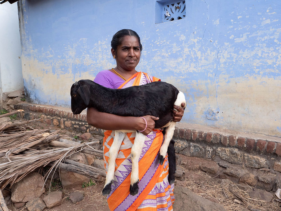 Training and Work: Interlife Development Model Toolkit - Avvenire, May 22, 2024