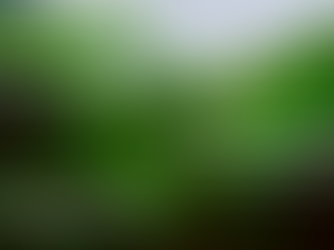 La tua azienda è orientata al green?