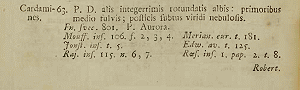 06973_Anthocharis_cardamines_468_s.gif