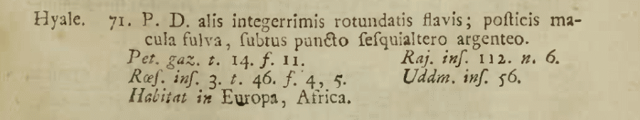 Colias_hyale.gif