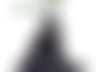 Mark 251 - Denied It