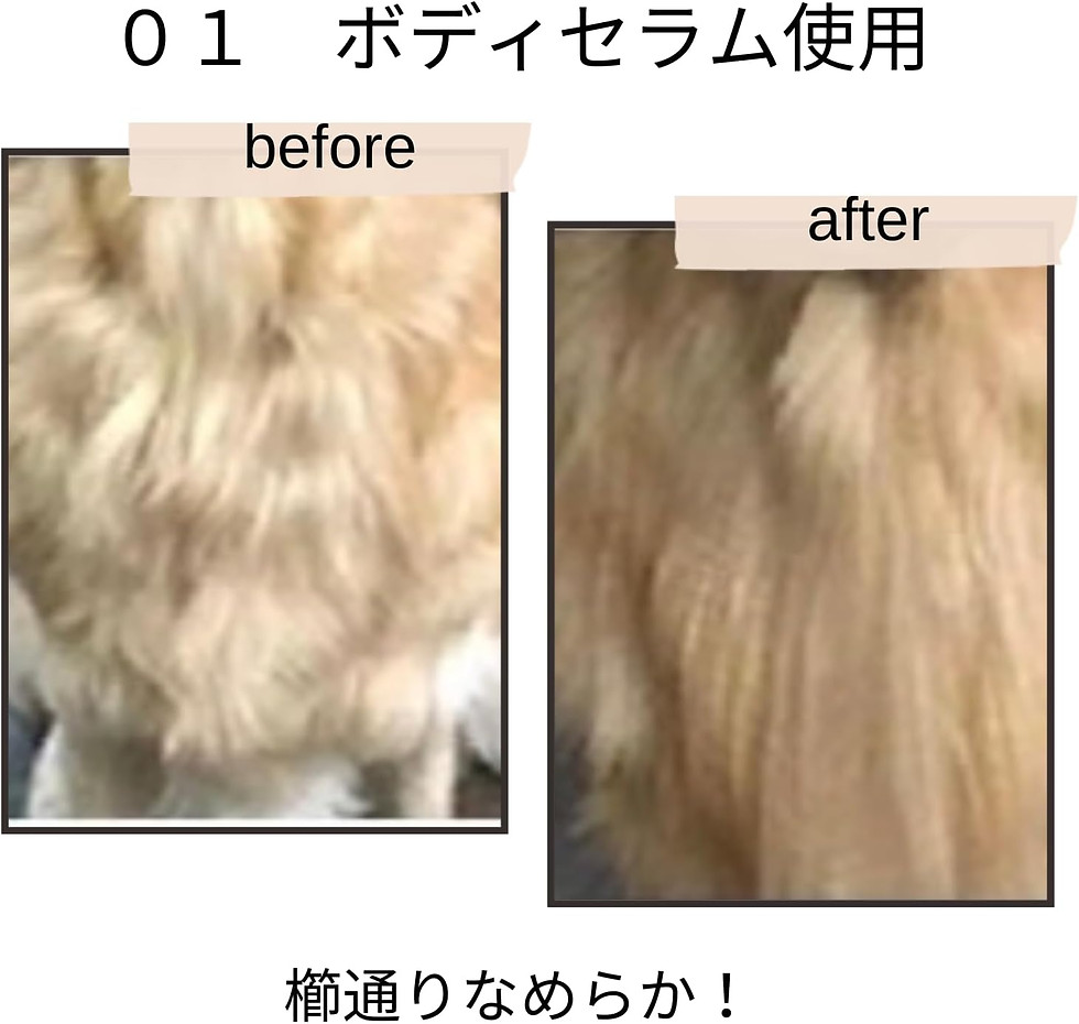 サムネイル： オドルクルス ペットビューティーペットの 耳のかゆみケアスプレー天然成分100% イヤーモイスチャー 100ml