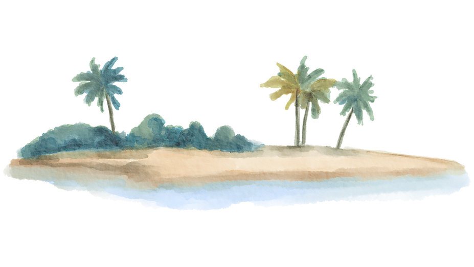 Design sem nome (50).png