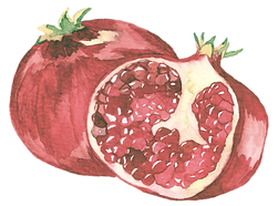 Design sem nome (54).png