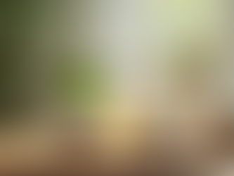 Unlocking Radiant Skin: The Benefits of Organic Products for Skincare