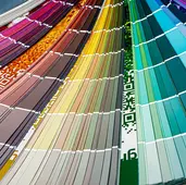 How to Choose the Perfect Colour Palette for Your Home