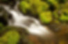 Serene Waterfall_edited_edited.jpg