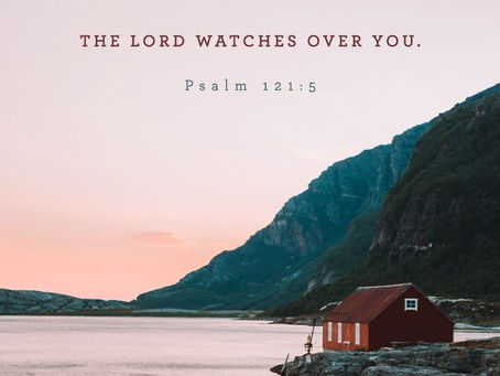 You are more Valuable than the Sparrows