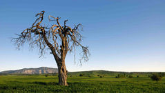 Semua Orang Akan Melalui Kematian Jasmani