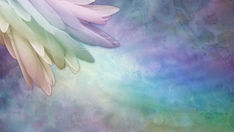 Dalam Kebingungan Mereka, Malaikat Muncul