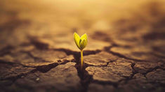 Mengenal Tanda-Tanda Tibanya Kerajaan Allah