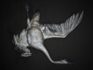 Seven: Swans Swimming