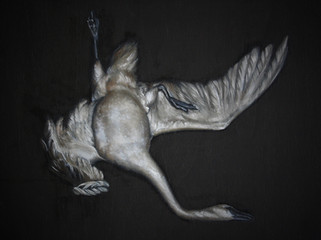 Seven: Swans Swimming