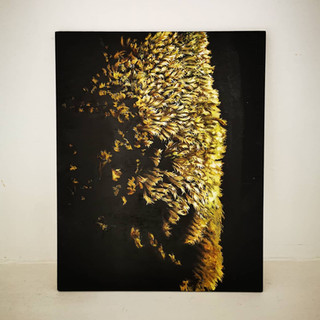 Moss 2